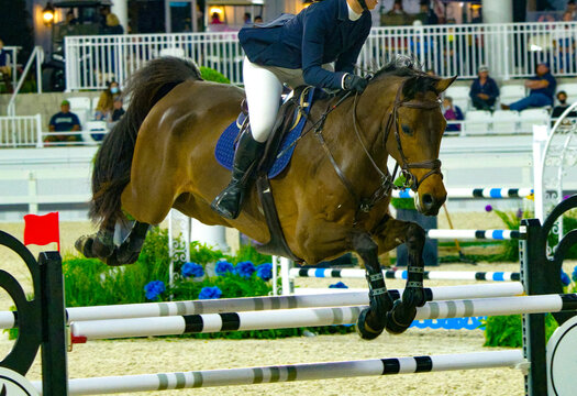 Equestrian Sports, Horse jumping Show Jumping competition Horse Riding themed photo view of female riding chestnut brown horse while jumping over hurdle during an event