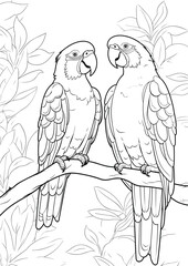 Coloring page. Two cute yellow macaw sits and smiles. They are in love