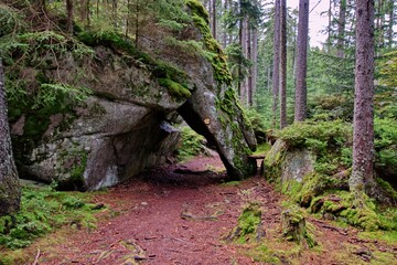 A pathway in national park Sumava surrounded by large stones in deep forest near Stozec, Czech republic