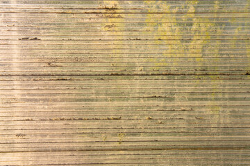 Close-up of a greenhouse wall made of old worn out dirty polycarbonate. Close-up of old dirty roof polycarbonate