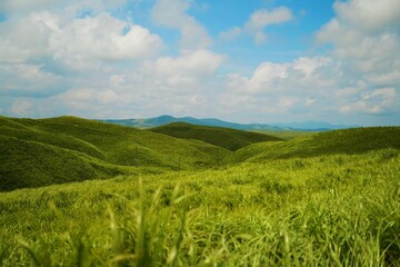 Obraz premium 大観峰からの景色