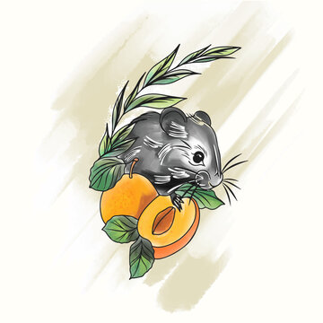 Stylish watercolor illustration in doodle style, mouse with apricot in leaves