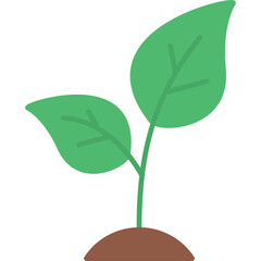 Sprout Icon