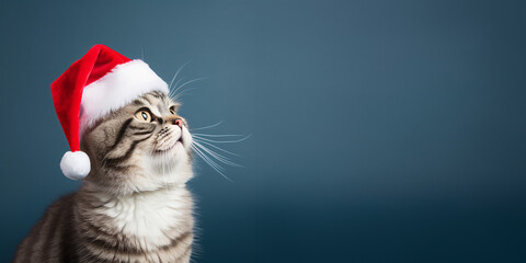 Christmas banner with cat wearing Santa's hat isolated on solid color background