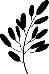 leaf drawing . Hand draw for design.	