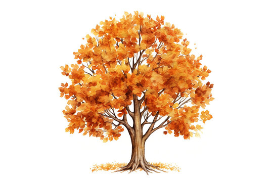 Autumn tree isolated on white background. Yellow and orange fall leaves. Watercolor illustration created with Generative Ai technology