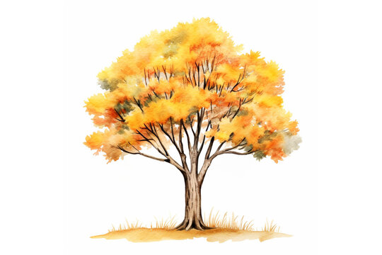Autumn tree isolated on white background. Yellow fall leaves. Watercolor illustration created with Generative Ai technology