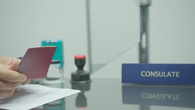 State officer checking passport and documents at consulate center
