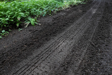 ぬかるんだ道イメージ５