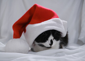 Cozy home background with a pet. A charming cute black and white kitten is lying on the bed. A Christmas holiday greeting card with a domestic cat wearing Santa's red hat.