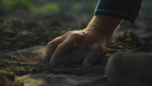 Drought, man checks the soil for sowing and planting, a man's hand holds the soil, runs his hand over dry soil, a farmer in the field touches the ground soil for planting agriculture, agriculture