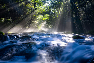 夏の絶景　幻想的な菊池渓谷の渓流と光芒