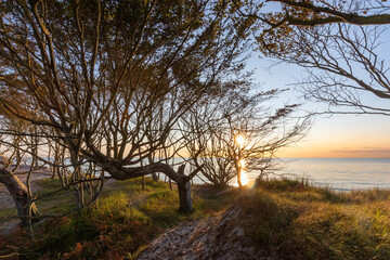 Darsser Weststrand - die Karibik der Ostsee.