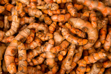 Turmeric ginger in a vegetable stand in Klong Toei Market in Bangkok.