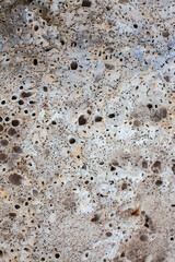 Texture of seaside stone with little pores - closeup