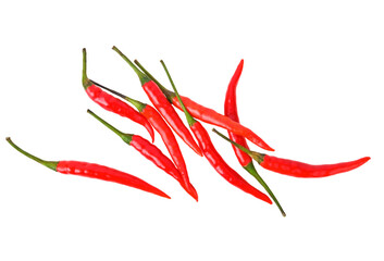 Red chili peppers https://contributor.stock.adobe.com/th/portfolio#:~:text=on%20transparent%20png.%20Top%20view