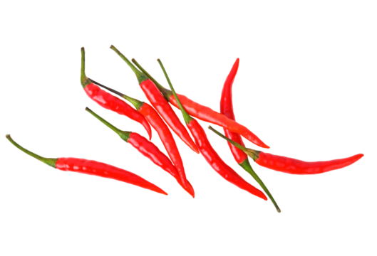 Red chili peppers https://contributor.stock.adobe.com/th/portfolio#:~:text=on%20transparent%20png.%20Top%20view