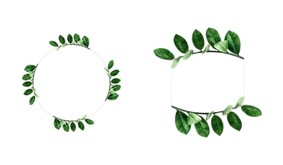 Rubber plant leaf with two type of frame. Green leaf frame.