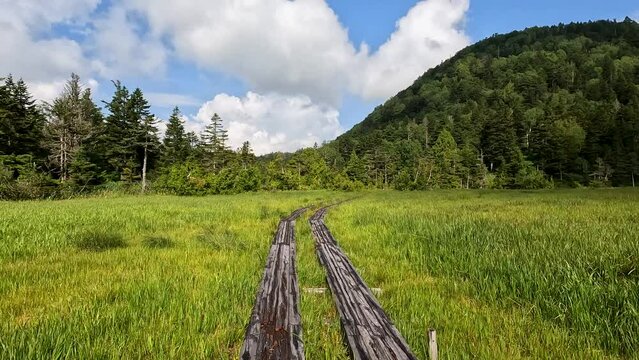 湿原を歩く