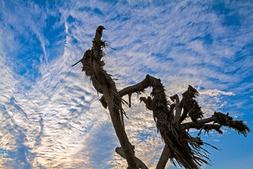 Fototapeta premium clouds