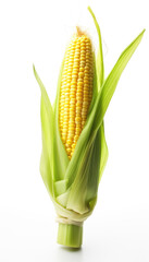 Photo of fresh corn on the cob isolated on a white background, a screensaver for the phone
