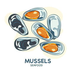 Vector Set of Mussels for Mediterranean cuisine. Seafood. Top view, closed shell, open shell. Isolated on a white background.