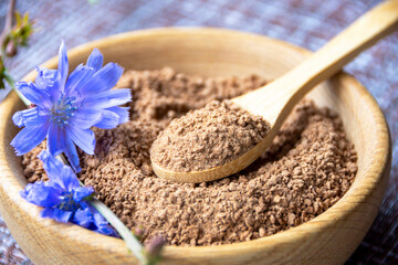 Ground chicory root on a wooden spoon and chicory flowers on a rustic wooden background. Alternative medicine. Healthy drinks. chicory drink