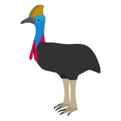 ヒクイドリのイラスト