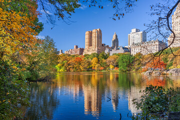 Central Park during Autumn in New York City - 638915399