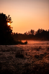 Astonishing sunrise over the forest in the autumn. Beautiful golden color on the sky made by the sun at the beginning of the day creating a misty place