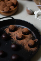 Chocolate truffles covered with cocoa powder. Gray background. Delicious dessert concept. Dark composition.