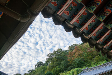고운사