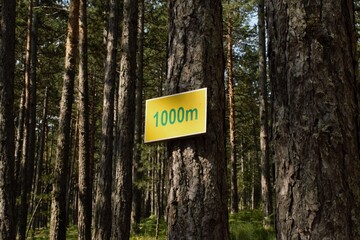 sign in the forest