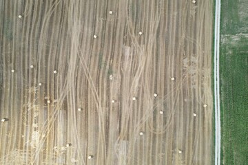 gospodarstwo © Pawel Szypula