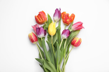 Beautiful colorful tulip flowers on white background, flat lay