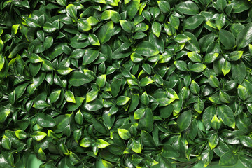 Green artificial plants as background, closeup view