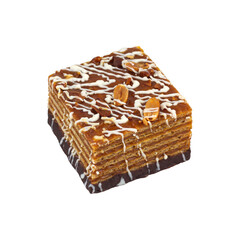 cake with condensed milk in chocolate, isolated from the background