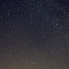 Night sky with stars - Perseids. Background for space exploration and night photography.