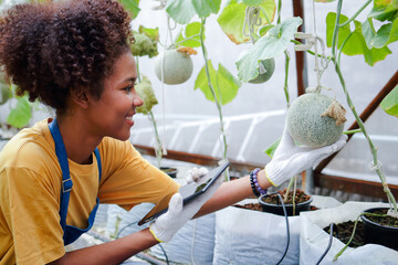 Beautiful smiling black female farmer holding a tablet working in a greenhouse planting sweet fruit melons. concept of modern agriculture