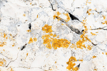 Naklejka premium Abstract stone texture with lichen