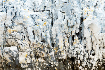 Karst stone on the shores of the Adriatic Sea