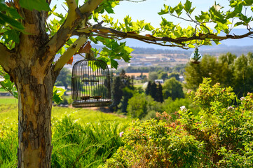 An empty metal bird cage hangs on a tree branch against the backdrop of green vegetation and a beautiful landscape. Focus on the cage