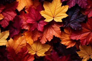 Naklejka na ściany i meble Rustic charm of autumn leaves on a natural background