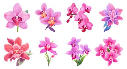 Fototapeta na wymiar Hand Drawn Orchid Flower Illustration Set