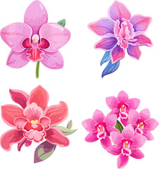 Artistic Hand Drawn Orchid Flower Illustration Collection