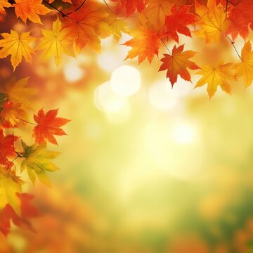 Falling leaves background with bokeh under sunlight with copy space. Yellow and red autumn maple leaves on blurred background.