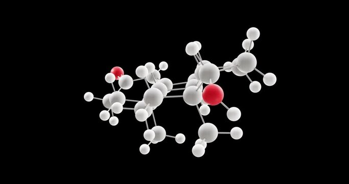 Testosterone molecule, rotating 3D model of Sex hormones, looped video with alpha channel