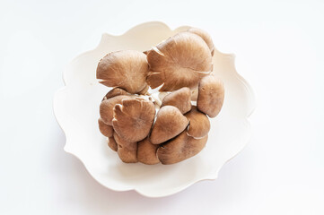 霜降りヒラタケ