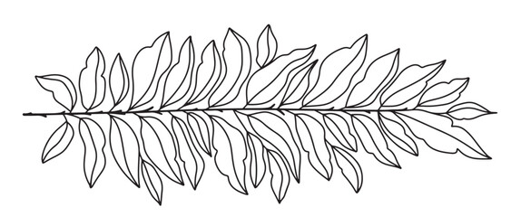 branch of a tree line art vector illustration