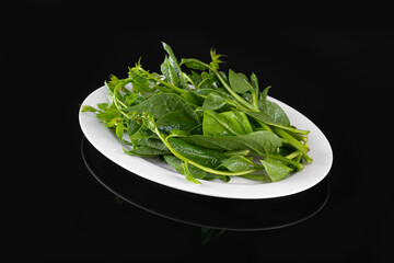Fresh raw vegetables on black background for shabu hot pot